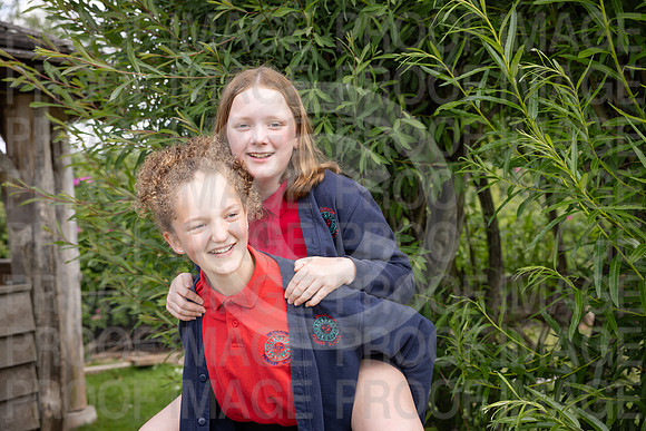 BRID_0667
