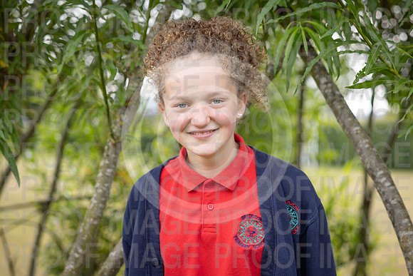 BRID_0801
