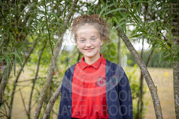 BRID_0799