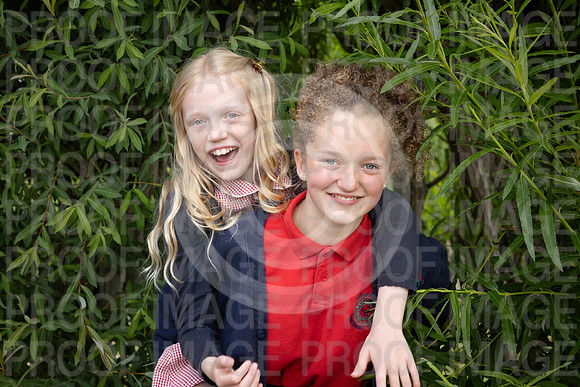 BRID_0579