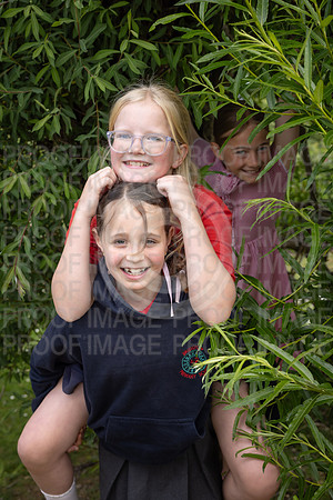 BRID_0665