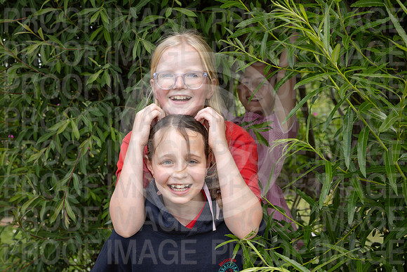 BRID_0661