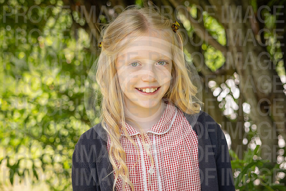 BRID_0877