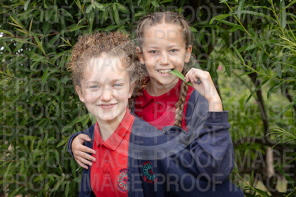 BRID_0626