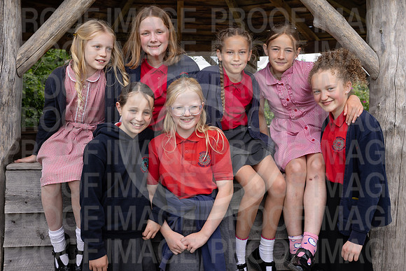 BRID_0531