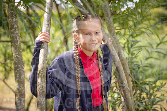 BRID_0906