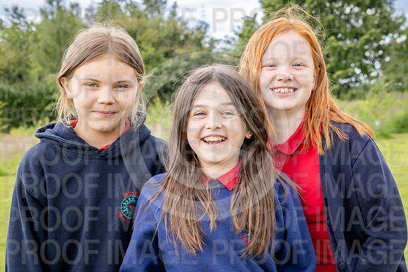 BRID7032