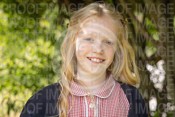 BRID_0889