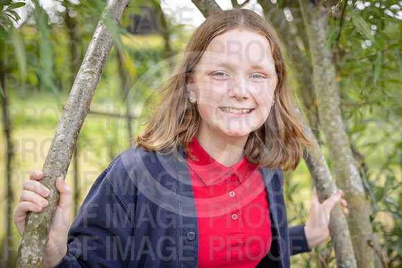 BRID_0678