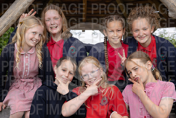 BRID_0538