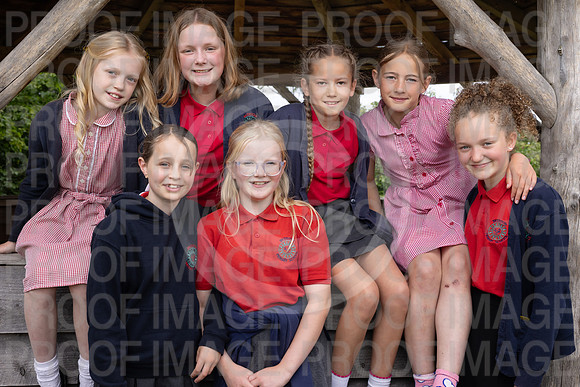 BRID_0530