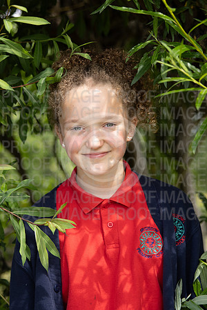 BRID_0833