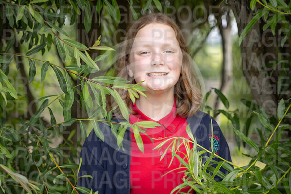 BRID_0701